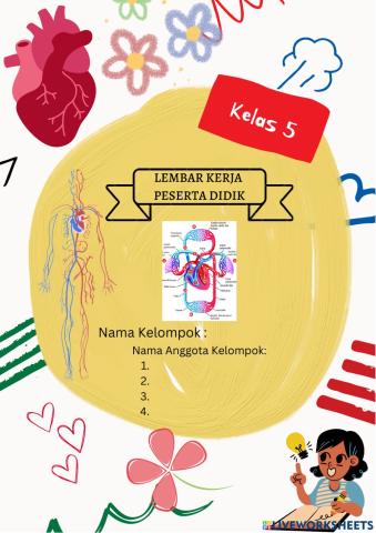 Organ Peredaran Darah