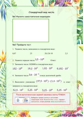 Стандартный вид числа