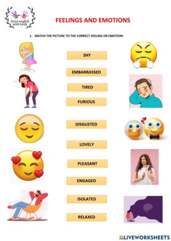 Feelings and Emotions