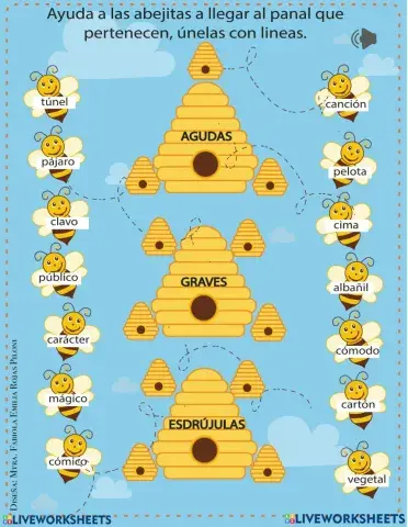 Palabras agudas graves y esdrujulas