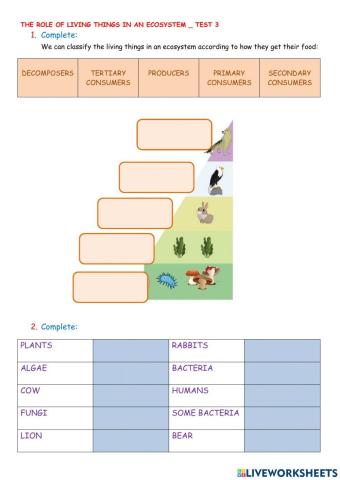 Role of living things TEST 3