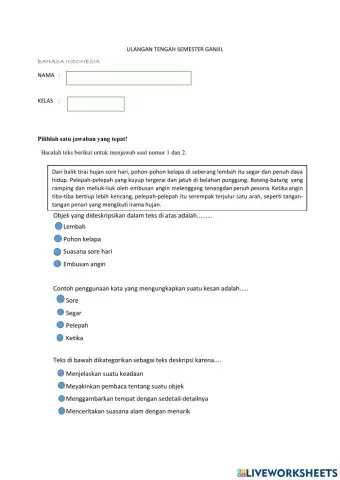 PTS Bahasa Indonesia