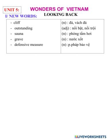 English 9- unit 5- looking back