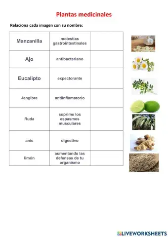 Plantas medicinales