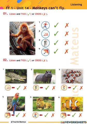 FF 1 - Unit 14 - Monkeys can't fly. - Listening