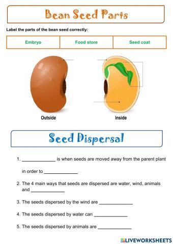 Seeds and Seed Dispersal