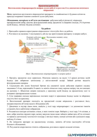 Практична робота 2