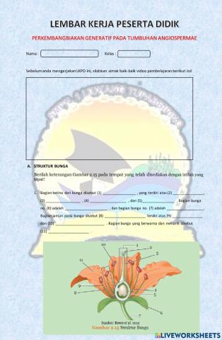 Perkembangbiakan generatif pada tumbuhan