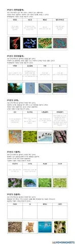 생물분류(문현중)