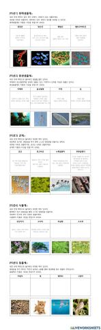 생물분류(문현중)