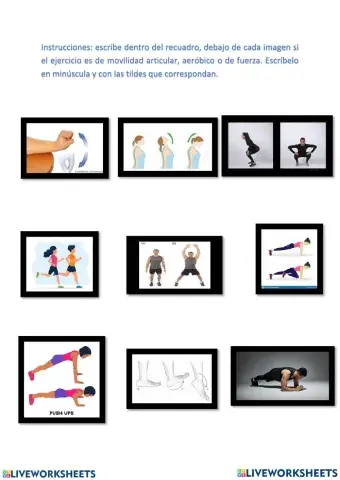 Movilidad articular y de fuerza