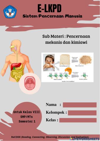 LKPD sistem Pencernaan -Pencernaan Mekanis dan kimiawi-