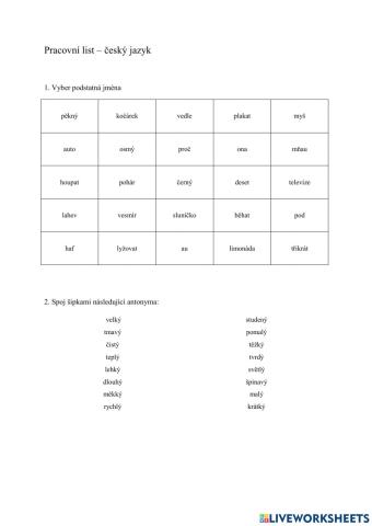 Pracovní list - český jazyk