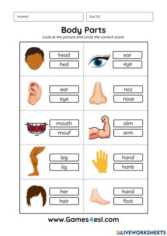 Parts of body