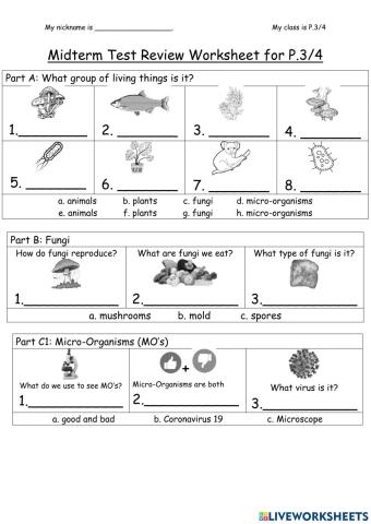 P.3-4 English for Science Midterm Review Worksheet
