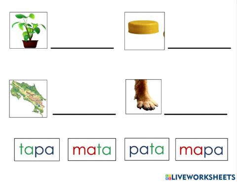 Palabras con sílabas directas