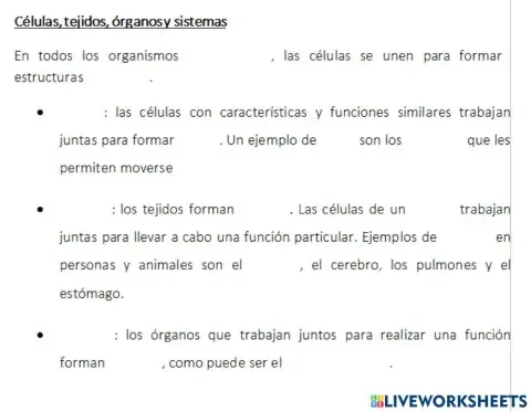 Células, tejidos, órganos y sistemas