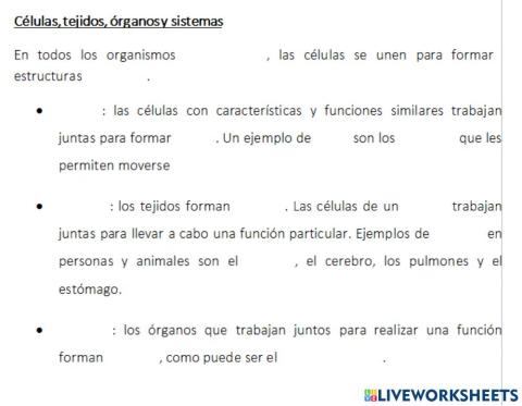 Células, tejidos, órganos y sistemas