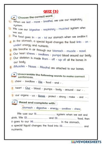 Connect Unit 1 - quiz3