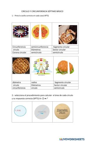 Area y perimetro circulo y circunferencia