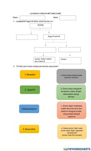 SOAL INTERAKTIF METABOLISME
