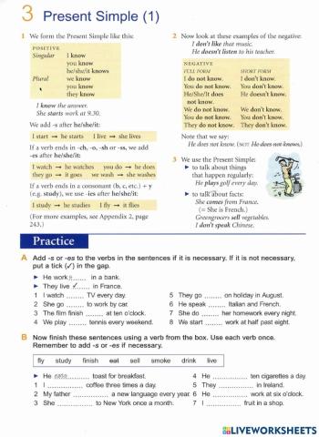 Basic Grammar-3 Present Simple