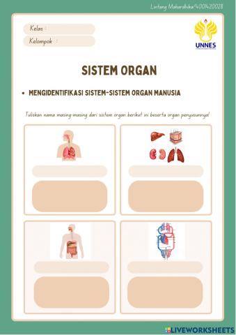 LKPD Sistem Organ