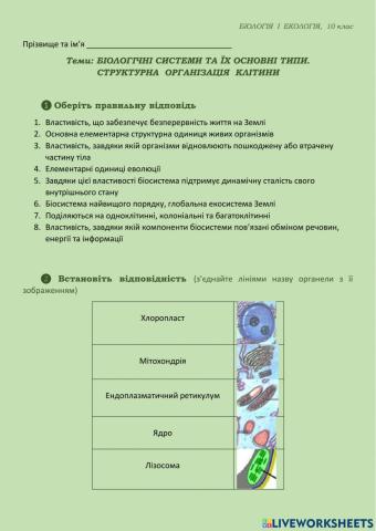 Основні типи біосистем. Структурна організація клітин