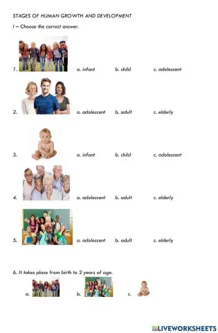 Stages of human groWth and development