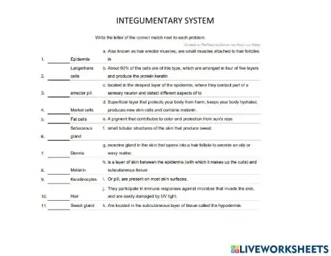 Integumentary system