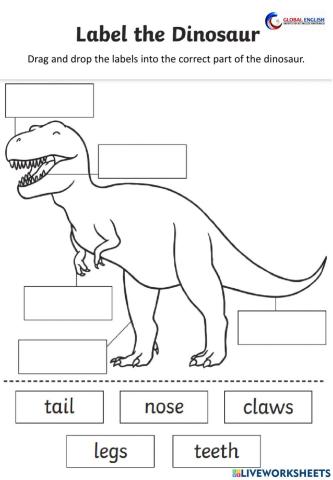 Dinosaur parts