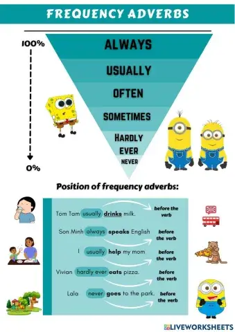 Adverbs of frequency