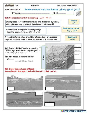 Evidence from rock and fossils