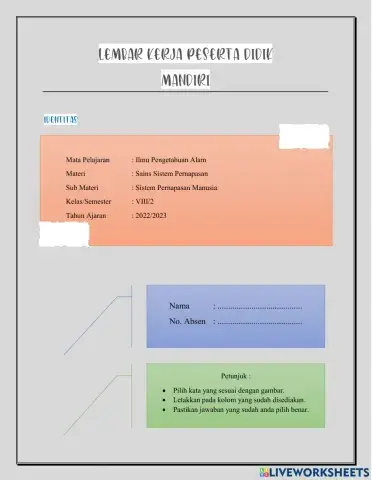 Sistem Pernapasan Manusia