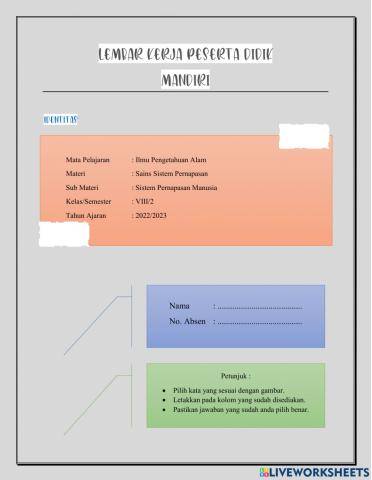Sistem Pernapasan Manusia