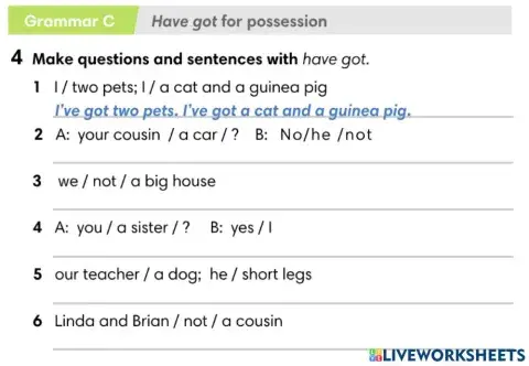 Wider World 2 - Unit 0 - Have got for possessions