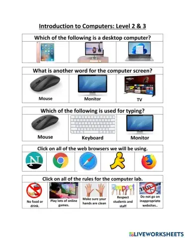 Intro to computers level 2 & 3