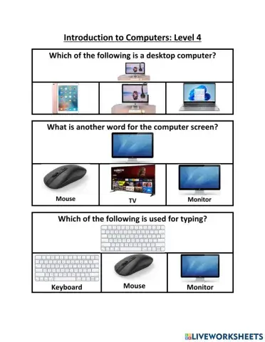 Intro to computers level 4
