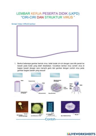 LEMBAR KERJA CIRI-CIRI-CIRI VIRUS DAN STUKTUR