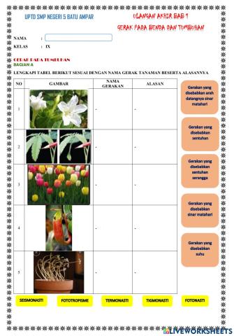 Ulangan gerak benda dan makhluk hidup