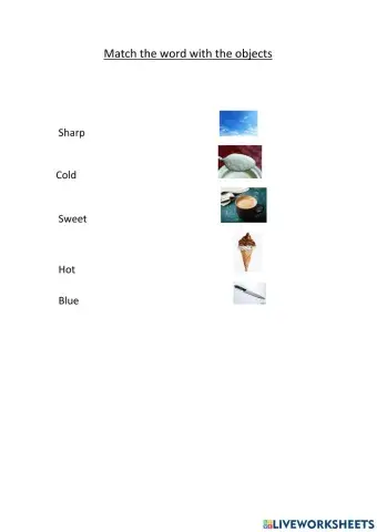 Match the words with the objects