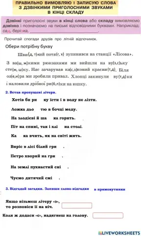 Правопис слів з дзвінкими приголосними у кінці складу