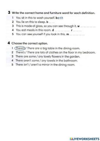 Wider World 3 - Unit 0 - Home and furniture. There is-are with some-any