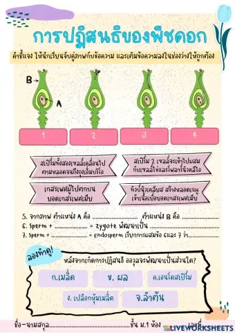 การปฏิสนธิของพืชดอก