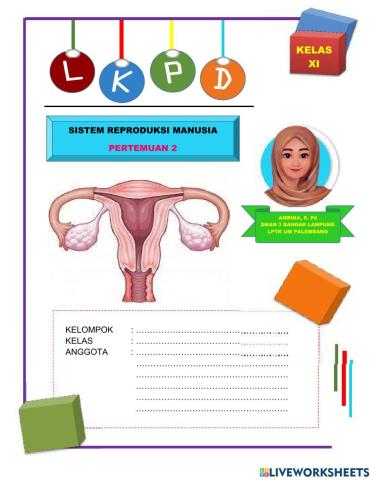 LKPD sistem reproduksi pada wanita