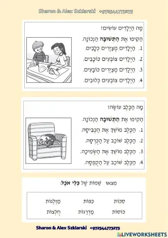 שקלרסקי משפט תמונה3