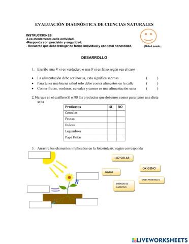 Evaluación Diagóstica