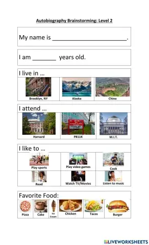 Level 2 autobiography brainstorming