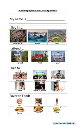 Level 4 autobiography brainstorming