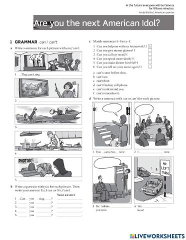 Are you the next American Idol (workbook)